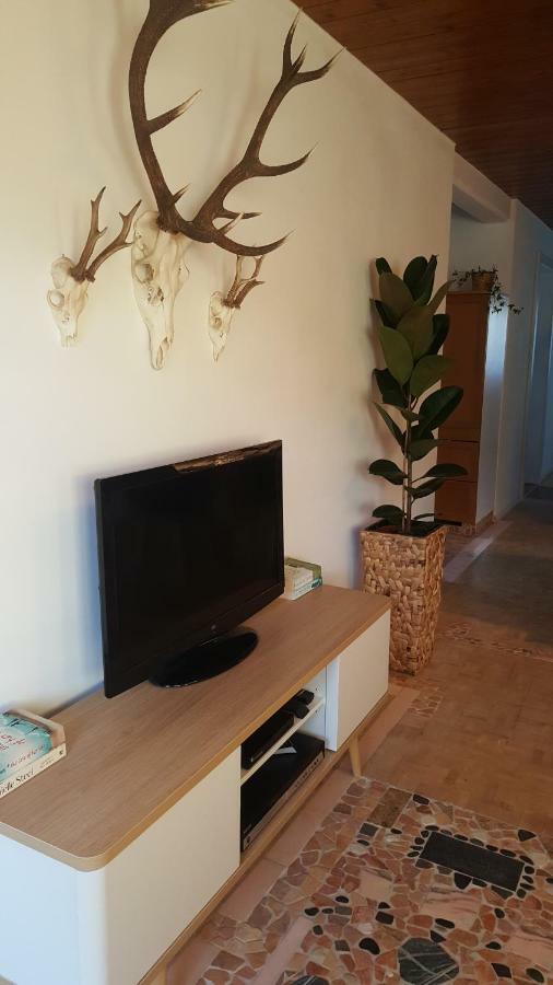 Unterbergblick Apartment